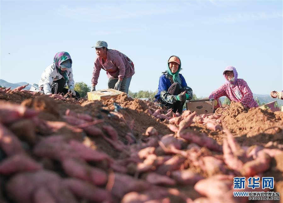 翻过“贫困”山，通向“幸福”站